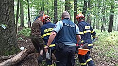 Hasii vyrazili na pomoc zrannému mui, kterého u Hotic na Kromísku...