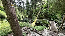 Podél Bílé Opavy vedou dv� cesty. Po �luté je to náro�n�j�í, zárove� ale...