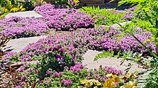 Mate�ídou�ka u ráje je�t�rek