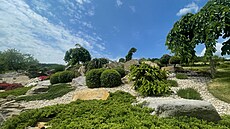 Pohled na azalky a buxusy