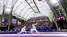 �eský �ermí� Alexander Choupenitch bojuje o postup v osmifinále olympijského...