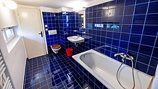 Ateliér um�lc� V�ry a Vladimíra Janou�kových v pra�ských Ko�í�ích (23. �ervence...