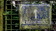 Ateliér um�lc� V�ry a Vladimíra Janou�kových v pra�ských Ko�í�ích (23. �ervence...