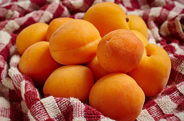Sladké, voňavé a s chutí léta. Meruňky v kuchyni českých foodblogerů