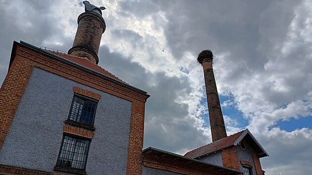 Na komn se odehrla jedna z nejznmjch st filmu. Nvtvnci bhem prohldky pivovaru poznvaj i msto naten koupac scny.