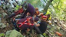 Jednasedmdesátiletý mu se míjel nedaleko Hradce nad Moravicí s cyklistou na...