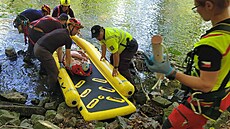 Jednasedmdesátiletý mu se míjel nedaleko Hradce nad Moravicí s cyklistou na...