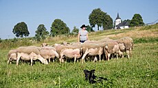 Karavanisté mají takzvaný stellplatz na statku Horní Dvorce.