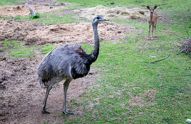 Vechno to platím ze svého, dotace nemám a asi bych na n ani nedosáhl. Tohle...