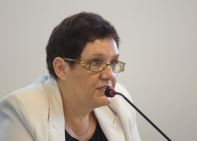 Mimoádné zastupitelstvo 5. srpna 2024 odvolalo dosavadní vedení Znojma a...