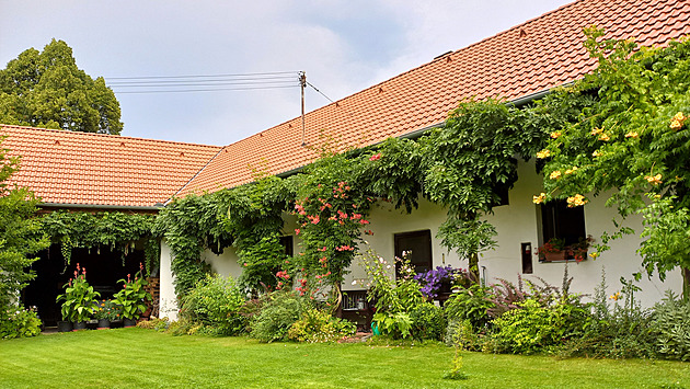 Koupil zanedbaný statek a podlehl kouzlu jižních Čech. Ze zahrady udělal ráj