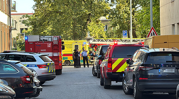 Policisté obvinili muže, který držel ženu násilím v bytě. Vybral si ji náhodně