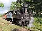 Parn lokomotiva 310.072 je tradinm astnkem akci na bezdruick loklce....
