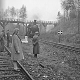 esk lokomotiva 434.2 v ele repatrianho vlaku s polskmi hornky z Francie...