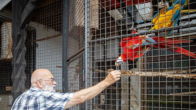 Nejbli jsou Deliovi ptci. Da se mu odchovvat i vzcn druhy vran i krkavc, kter pot pedv do eskch zoologickch zahrad nebo soukromnkm.