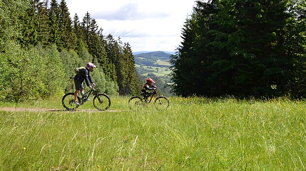 Singletrack kiuje i lipensk sjezdovky.