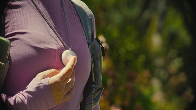 Za��zen� Friend