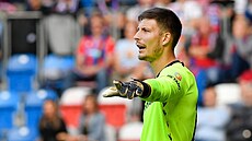 Plze�ský branká� Marián Tvrdo�.