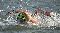 Martin Straka plave v závod na deset kilometr. (9. srpna 2024)