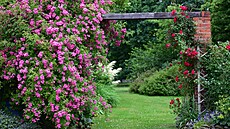 Prchod vedle zahradního domku