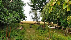 Horní ást zahrady s posezením a houpakou