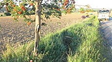 Osmnáctiletá �idi�ka dostala v zatá�ce smyk, v�z vyjel ze silnice a po nárazu...