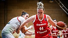 �eská pivotka Julia Reisingerová b�hem zápasu s Ma�arskem