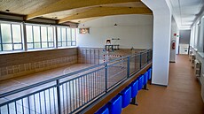 O prázdninách vrcholí práce na investicích ve �kolách, v Plzni mimo jiné na...