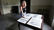 Kv�li zdravotnickému ú�elu vyu�ití zámku ze st�n v 60. letech zmizely nást�nné...