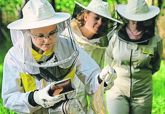 Do chuti místního medu se promítá i fakt, �e se zde mohou v�ely pást na...