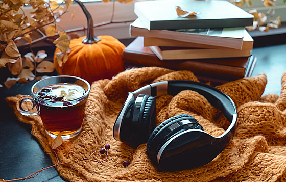 Zaposlouchejte se do jednoho z nejvýraznjích román v interpretaci Davidem...