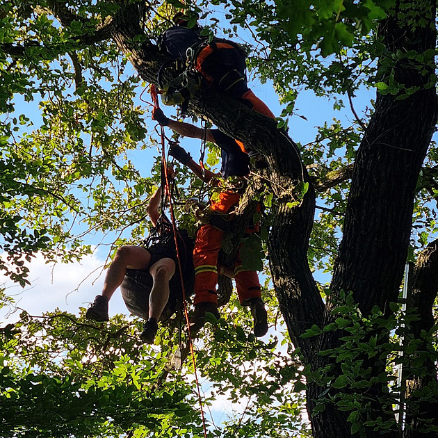 Paraglidista uvázl v koruně stromu, hasiči k němu projeli ohradou pro zvířata