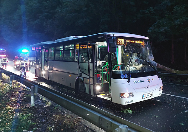 Strom u Moravské Tebové padal pímo v okamiku, kdy tudy projídl autobus.