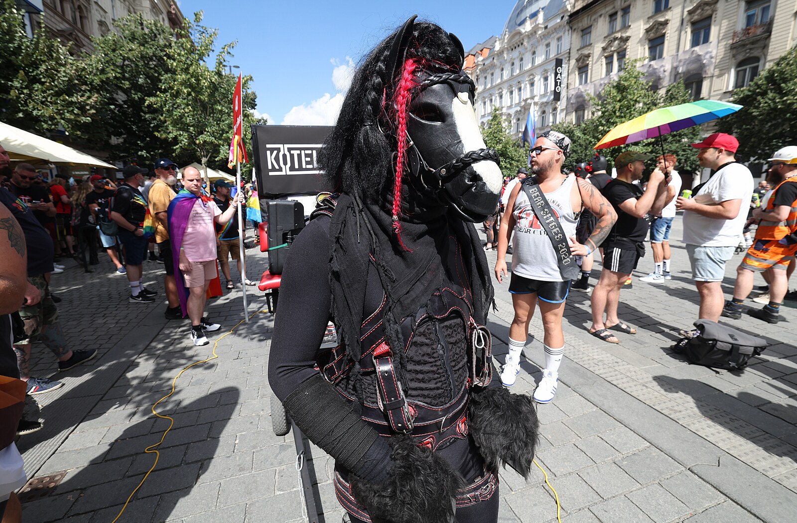 Tohle není hrdost, ale karneval na „LSD“. Pride kritizují i samotní gayové a lesby