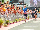 Slavn triatlonov zvod Ironman 70.3 v Hradci Krlov (18.8.2024).