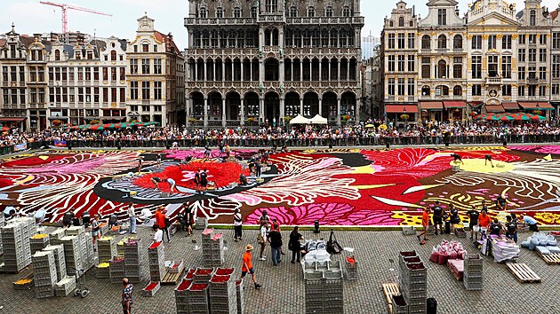Hlavn� bruselsk� n�m�st� p�ed radnic� minul� �tvrtek stejn� jako ka�d� dva roky pokryl kv�tinov� koberec. (15. srpna 2024)