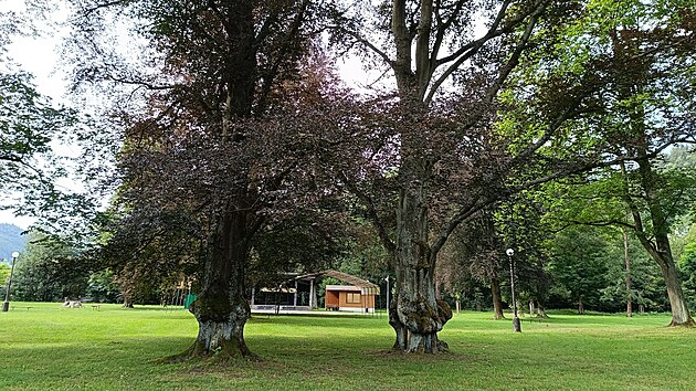 Pobl msta, kde se budou stavt v Hanuovicch nov byty, je ndhern park.