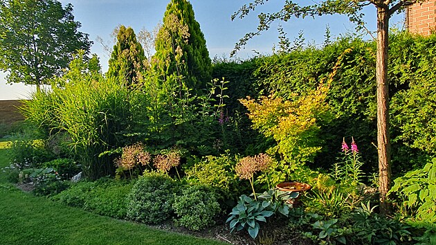 �esneky d�laj� par�du i po odkv�tu, �tafetu po nich p�evzala fialov� vrbovka.