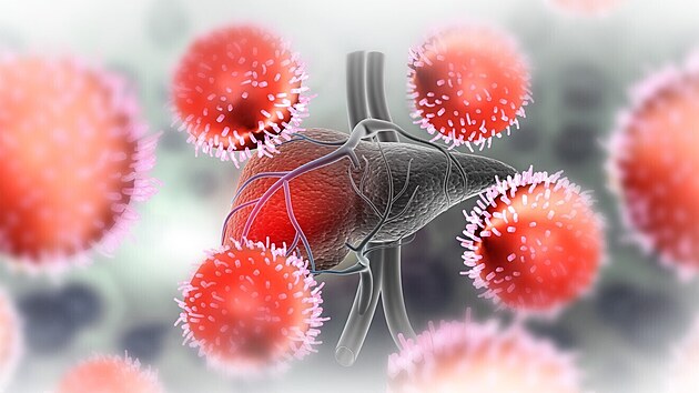 Virov� hepatitida - ilustra�n� fotografie