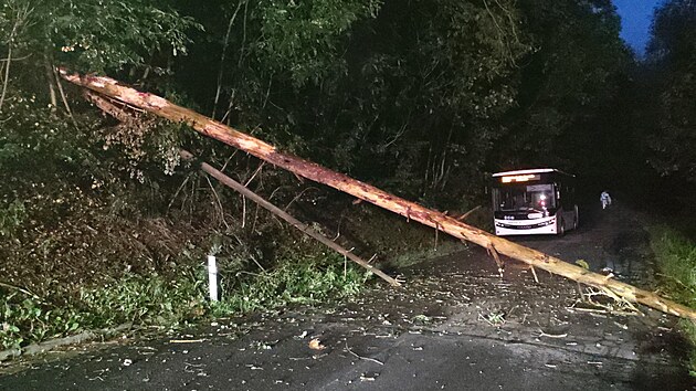 Pobl Msteka Trnvky ml autobus tst. Strom spadl dve, ne tudy idi projdl.