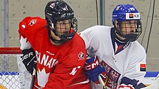 Snímek z finálového utkání na Hlinka Gretzky Cupu, ve kterém se stetly...