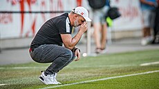 Dumající slavistický trenér Jindich Trpiovský.