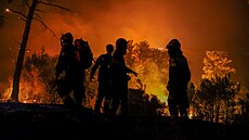 Hasi�i bojují s po�árem ve vesnici Dyonisos nedaleko Atén. (11. srpna 2024)