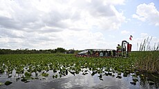 Národní park Everglades na Florid (7. kvtna 2024 )