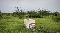 Americký zp�vák se senegalskými ko�eny Akon (vlevo) p�edstavil svou vizi...