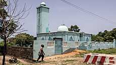 Americký zpvák se senegalskými koeny Akon (vlevo) pedstavil svou vizi...