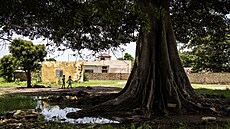 Americký zp�vák se senegalskými ko�eny Akon (vlevo) p�edstavil svou vizi...