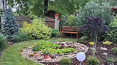 Lavika u jezírka pod starým akátem (jaro)