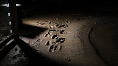 Silné bou�ky zaplavily ulice, naplnily sklepy a zp�sobily, �e �eka Saalbach v...