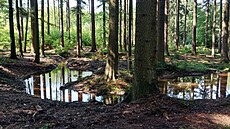 Vodohospodái obnovili tém plkilometrové meandrující koryto a v...